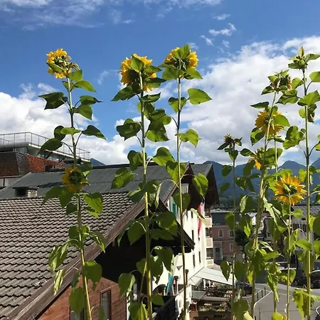 Doris' Nest Lägenhet *