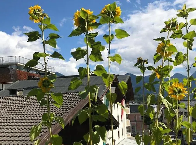 Doris' Nest アパート *